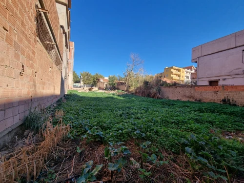 Vente Terrain Tipaza Hadjout