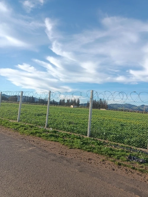 Vente Terrain Agricole Tipaza Ahmar el ain