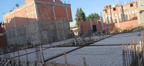 Vente Terrain Blida Ben khellil
