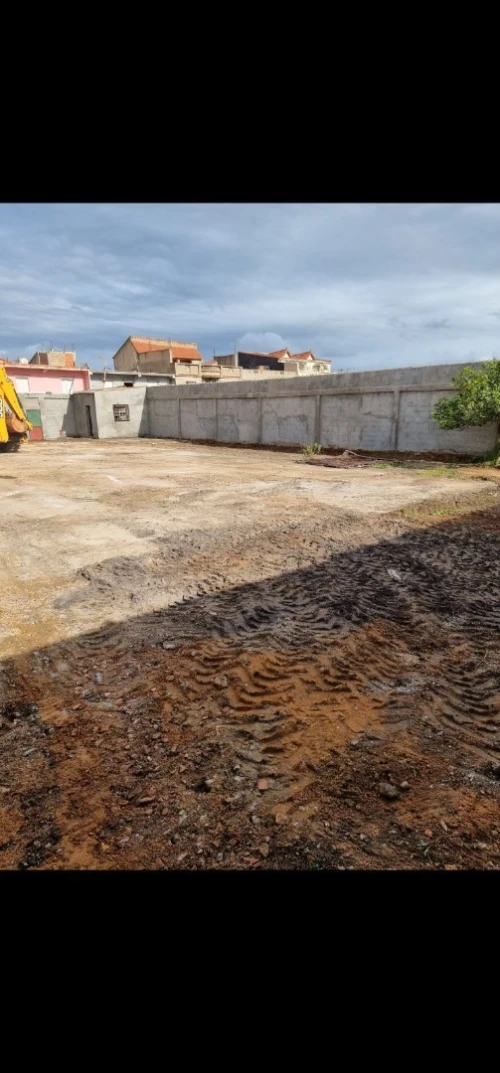 Vente Terrain Tipaza 