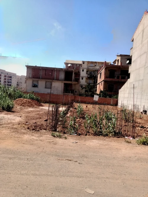 Vente Terrain Tipaza Fouka