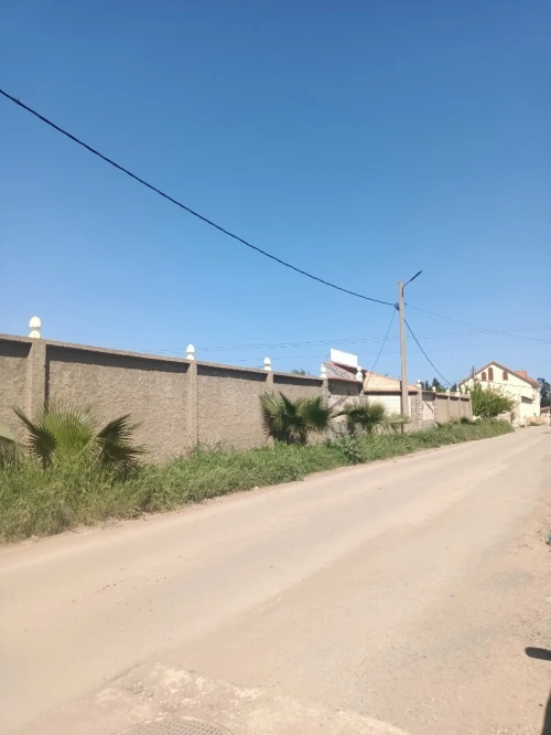 Vente Terrain Agricole Tipaza Ahmar el ain