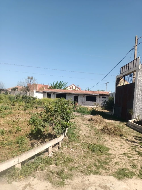 Vente Terrain Agricole Tipaza Ahmar el ain