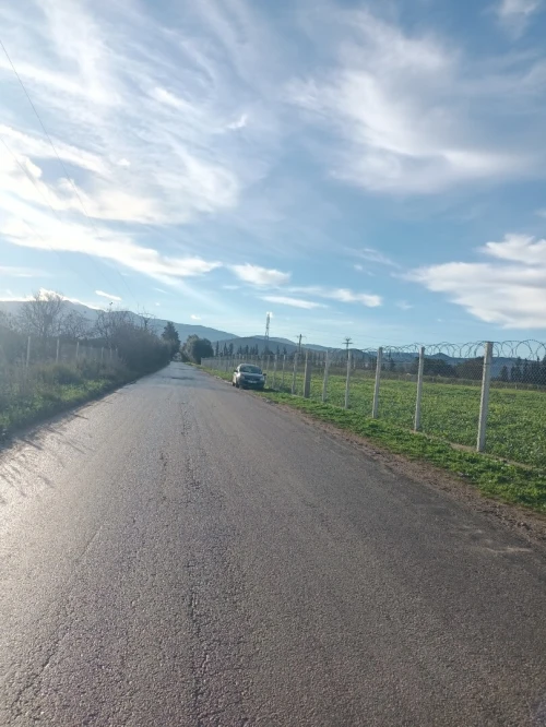 Vente Terrain Agricole Tipaza Ahmar el ain