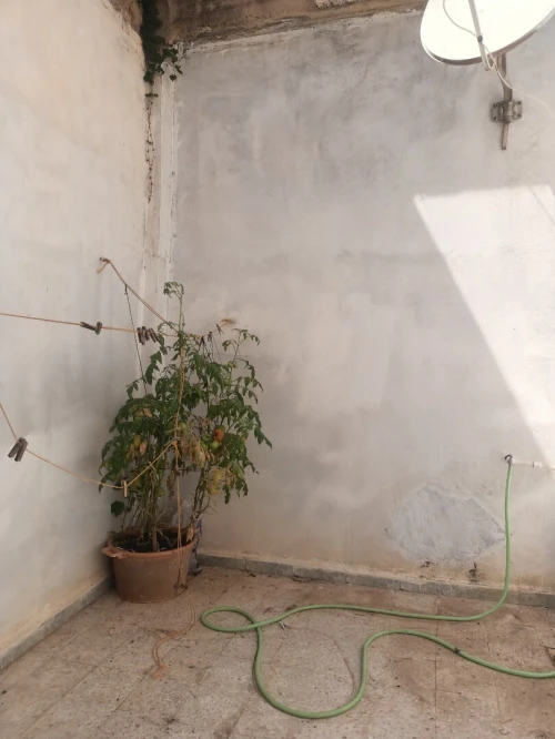 Vente Villa Tipaza Tipaza