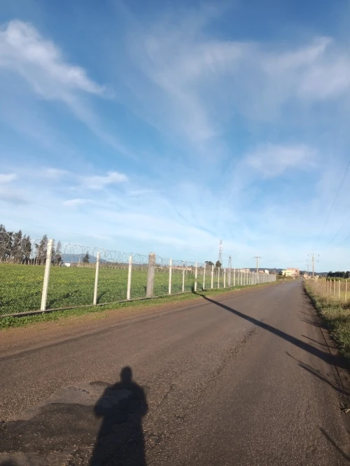 Vente Terrain Agricole Tipaza Ahmar el ain