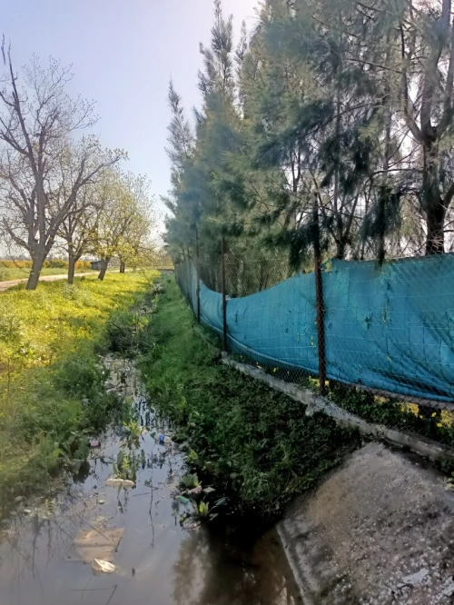 Vente Terrain Agricole Tipaza Attatba
