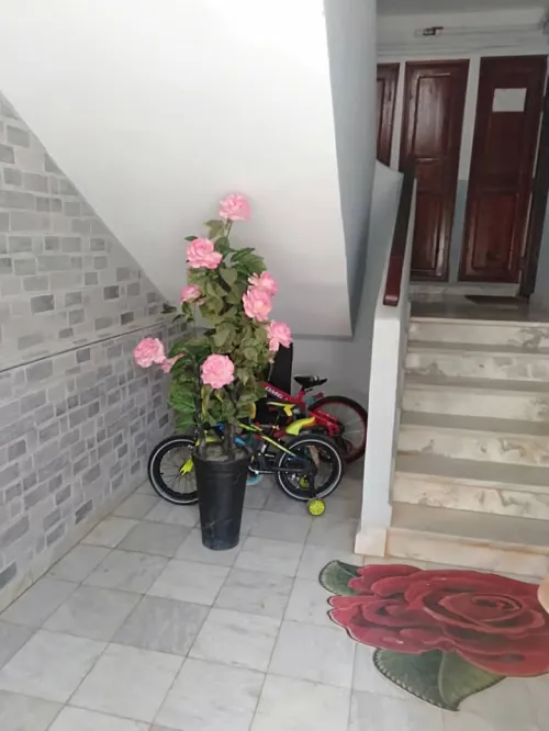 Vente Appartement F3 Tipaza Khemisti