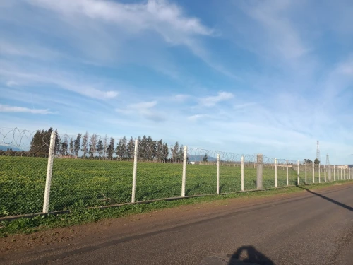 Vente Terrain Agricole Tipaza Ahmar el ain