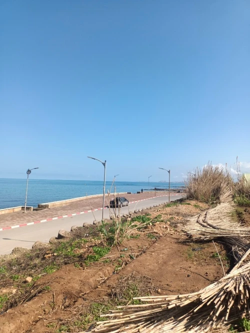 Vente Terrain Agricole Tipaza Fouka