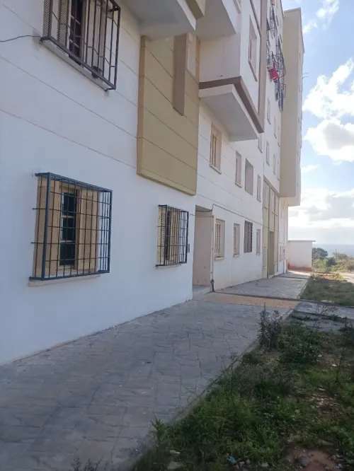 Location Local Tipaza Kolea