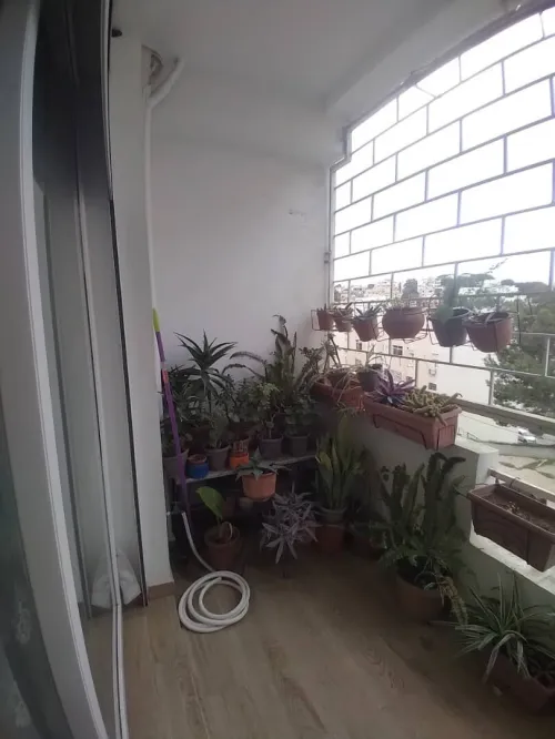 Vente Appartement F4 Alger Said hamdine