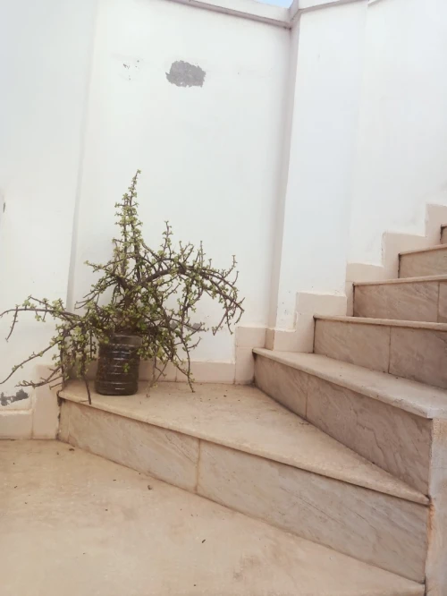 Vente Villa Tipaza Kolea