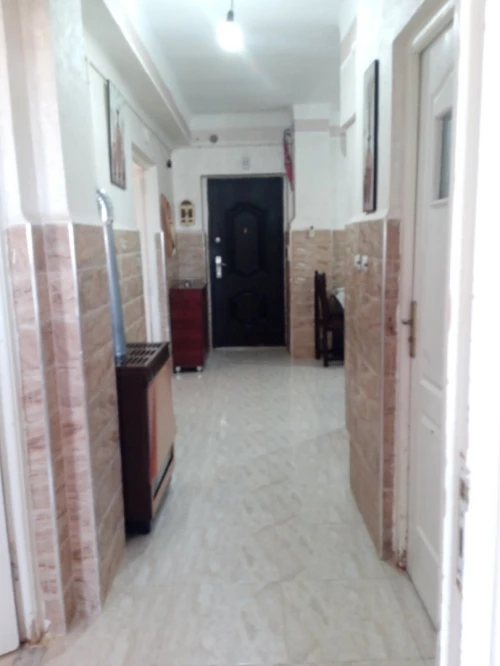 Vente Appartement F03 Tipaza Tipaza
