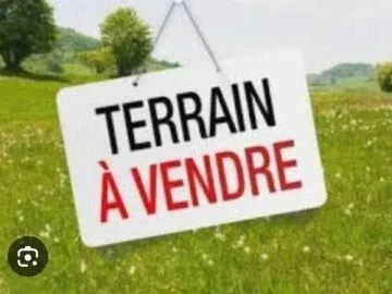 Vente Terrain Agricole Tipaza Attatba