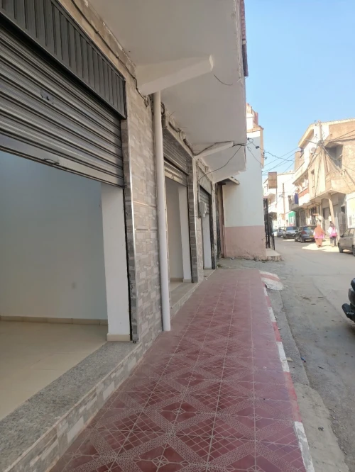 Location Local Tipaza Kolea