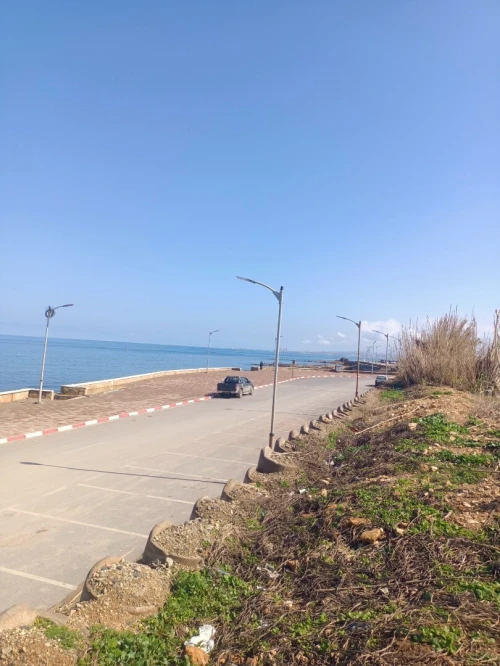 Vente Terrain Agricole Tipaza Fouka