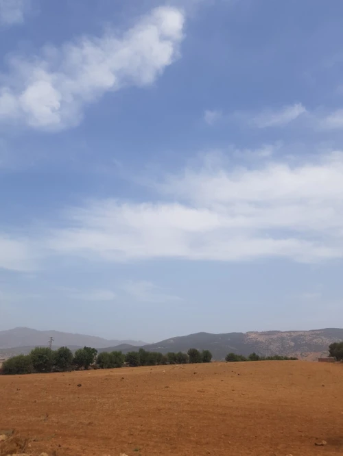 Vente Terrain Agricole Aïn Defla Khemis miliana