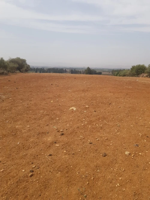 Vente Terrain Agricole Aïn Defla Khemis miliana