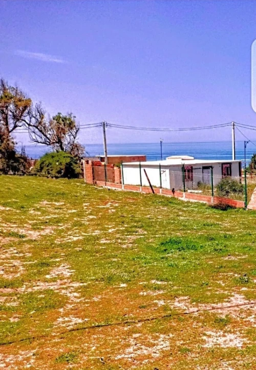Vente Terrain Boumerdès Thenia