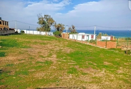 Vente Terrain Boumerdès Thenia