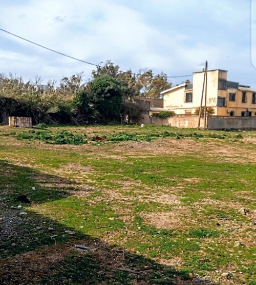 Vente Terrain Boumerdès Thenia