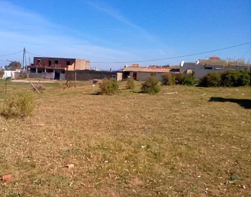 Vente Terrain Boumerdès Thenia