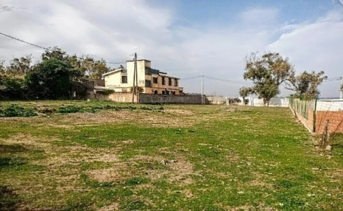 Vente Terrain Boumerdès Thenia