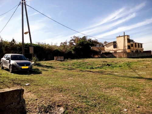 Vente Terrain Boumerdès Thenia