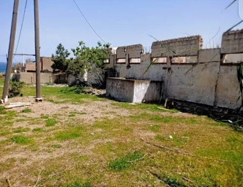 Vente Terrain Boumerdès Thenia