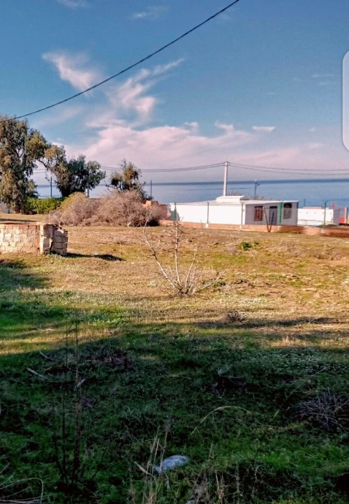 Vente Terrain Boumerdès Thenia