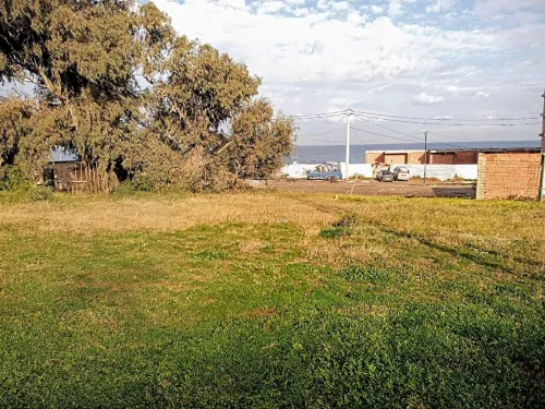 Vente Terrain Boumerdès Thenia