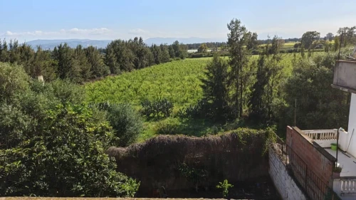 Vente Villa Boumerdès Hammedi
