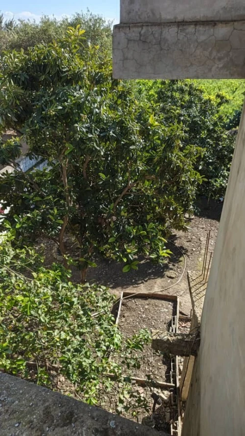 Vente Villa Boumerdès Hammedi