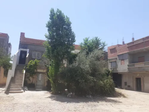 Vente Villa Tiaret Tiaret