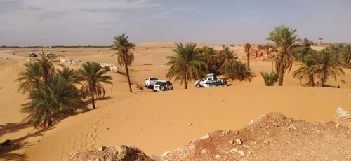 LOCATION 4X4 a TIMIMOUN
