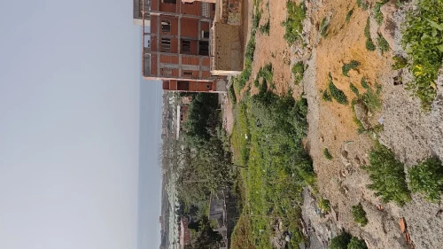 Vente Terrain Tipaza Bou ismail