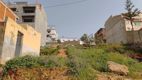 Vente Terrain Tipaza Bou ismail