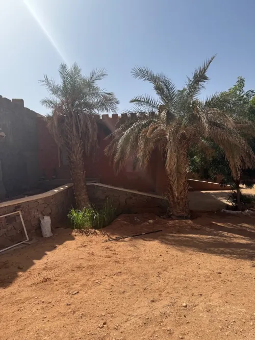 Vente Terrain Timimoun Timimoun
