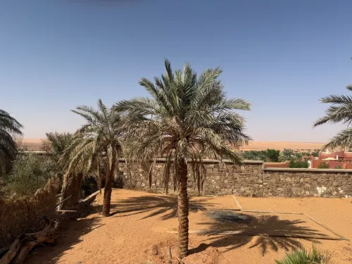 Vente Terrain Timimoun Timimoun