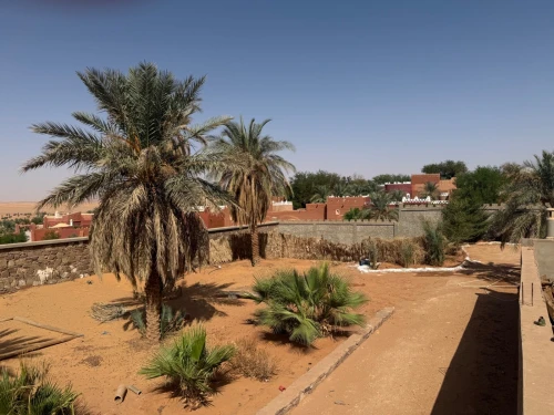 Vente Terrain Timimoun Timimoun