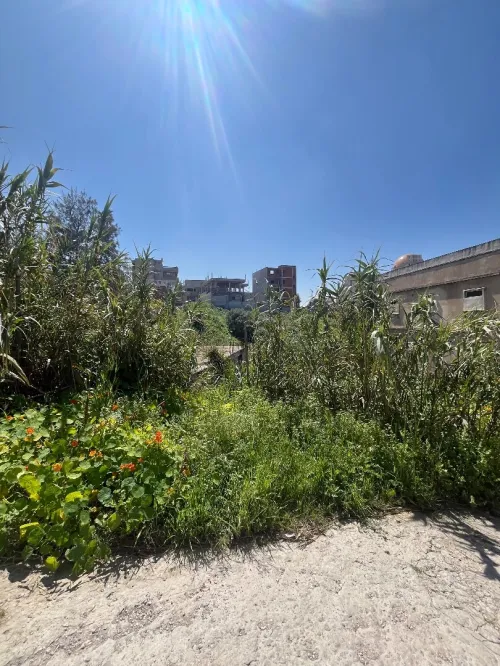Vente Terrain Alger Cheraga