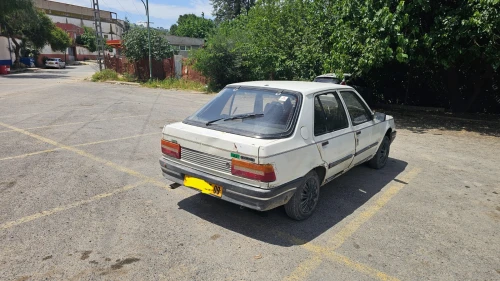 Peugeot 309 1987 309