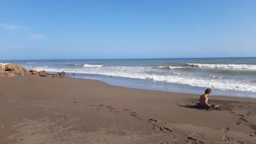 Vente Terrain Tipaza Larhat