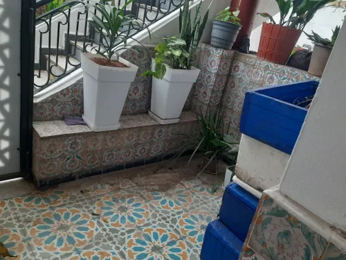 Location Appartement Niveau de villa F5 Alger Bouzareah