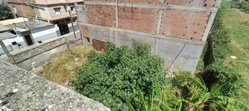 Vente Villa Alger Les eucalyptus