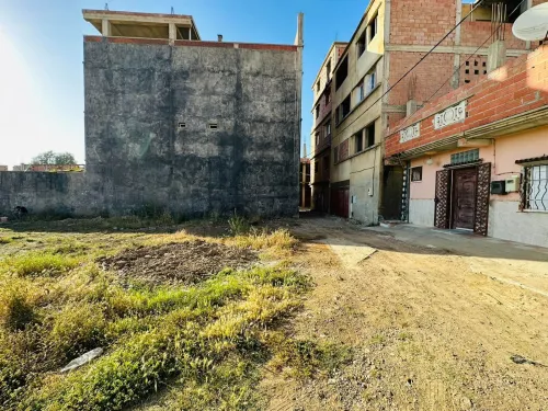 Vente Terrain Blida Meftah
