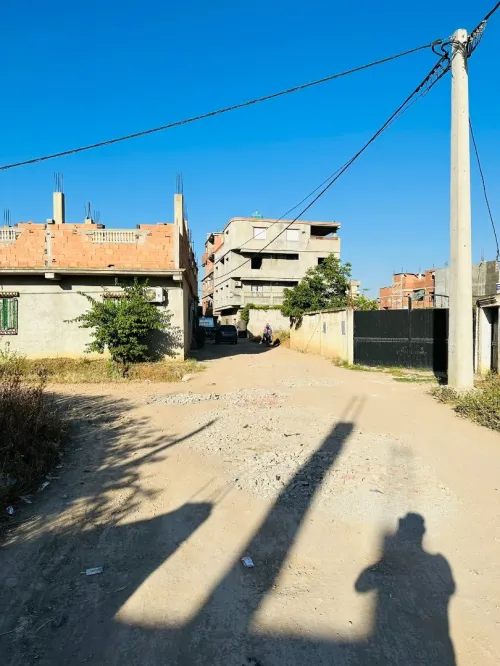 Vente Terrain Blida Meftah