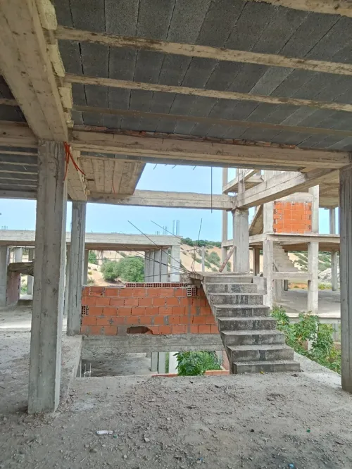 Vente Terrain El Tarf Echatt