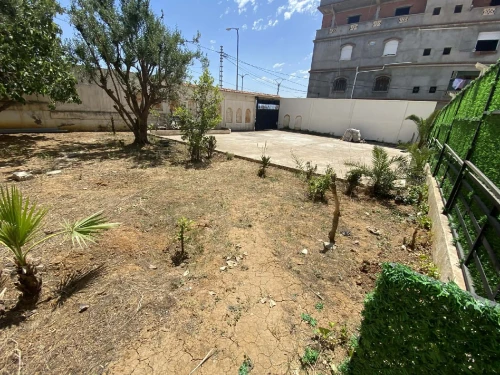 Vente Terrain Alger Saoula